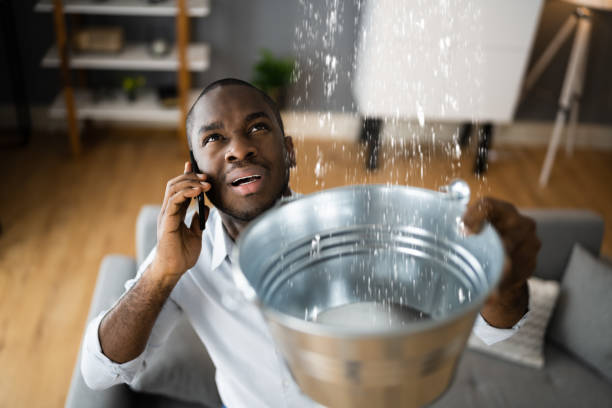 Reliable CT Water damage restoration Solutions