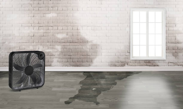 Best Professional water damage repair  in Glastonbury Center, CT